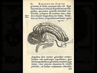 DESCARTES - POEMA DE VERANO BRISAS