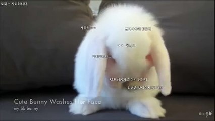 010-2178-9505【여주 출장안마】♬【여주 출장마사지】HOT플레이