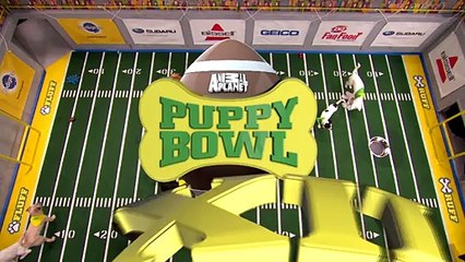 Timber Scores a Touchdown with the Help of Star