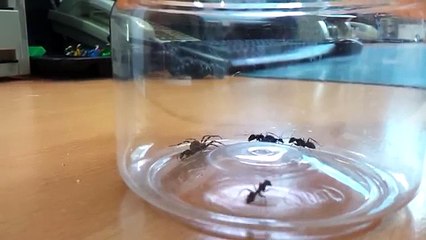 용인출장안마()OlO↔2178↔9505▷넌 is 뭔들 용인출장마사지