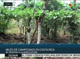 Productores rechazan que Costa Rica ingrese a la Alianza del Pacífico