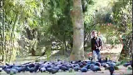 SULTAN Salman Khan's Movie Song 'Tuh Rab Mera' Arijit Singh Ft Salman Khan & Deepika Padukone +923087165101