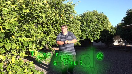 Are You Looking For A Home On St Patrick's Day