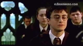 EL BANANERO - HARRY POTTER