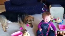 Em bé cười sung sướng khi thấy chú chó ăn bong bóng - Baby laughing happy to see dogs eating bubble