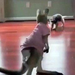 The kangaroo wearing a diaper