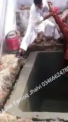 VID-20160316-WA0000[1]