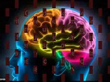 Les bienfaits de Brain Plus IQ