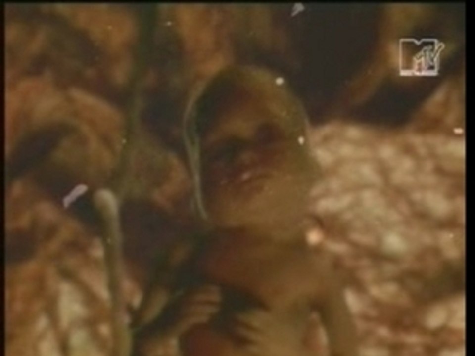 Massive Attack - Teardrop