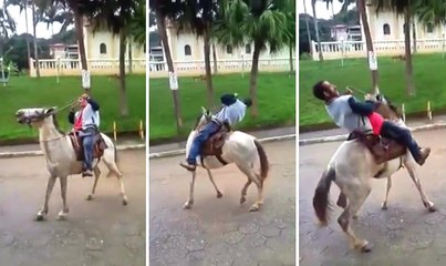 Ata Sarhoş Binen Adam Yere Kapaklandı