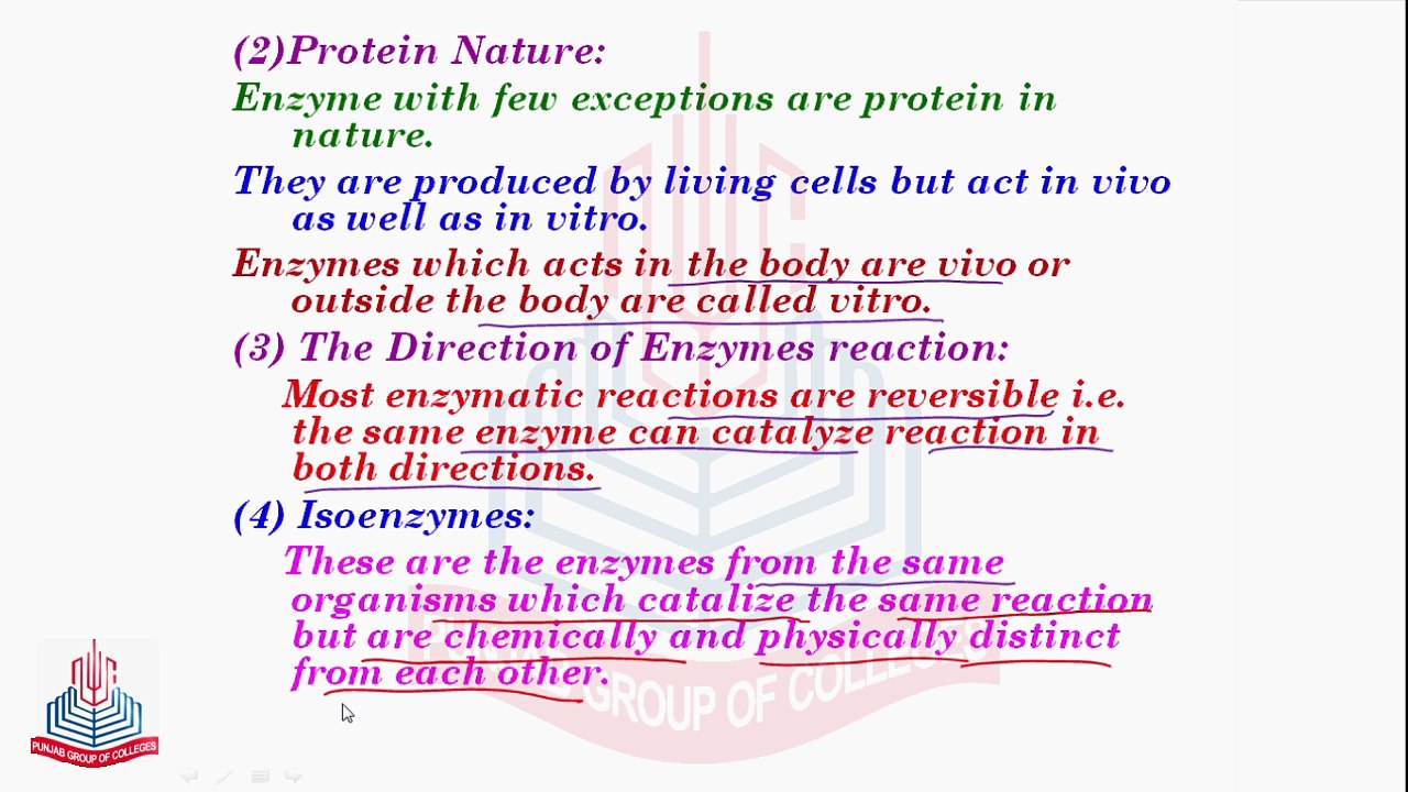 Properties ,Factors affecting the Activity of Enzymes & Importance of Enzymes