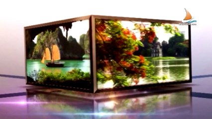 RIVER PALM VILLAS HỘI AN - Hoi An Charming Villas - hoiancharmingvillas com