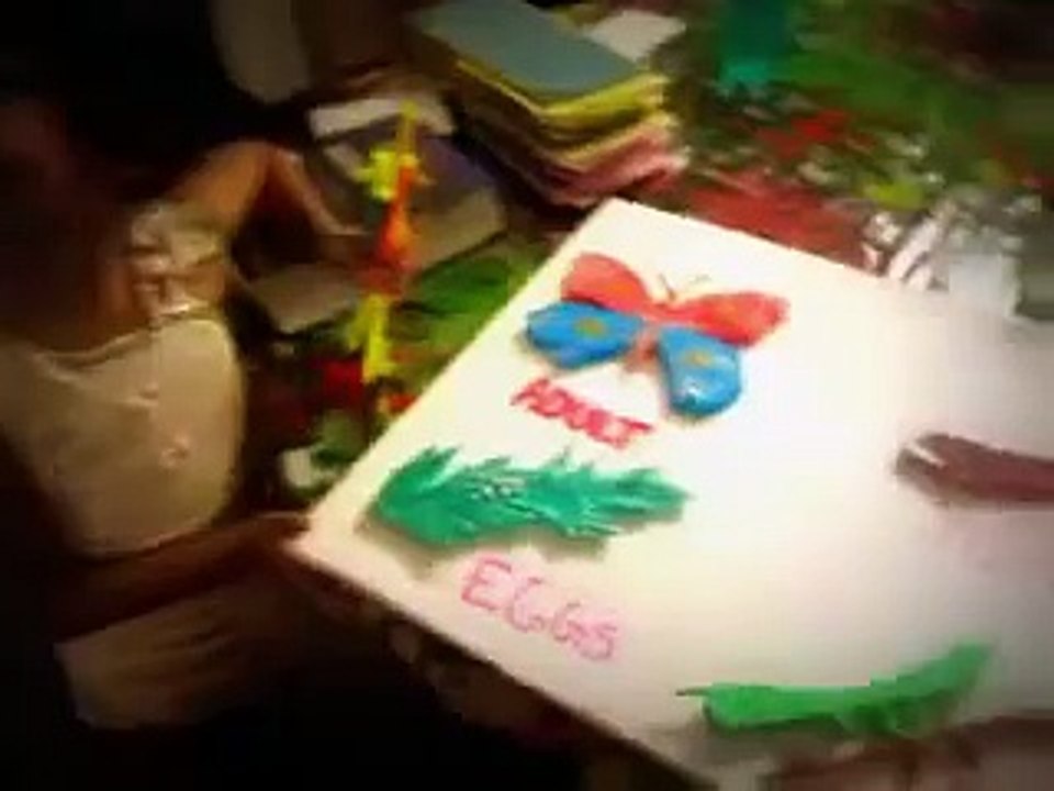 An Amazing video at home the best skill for video