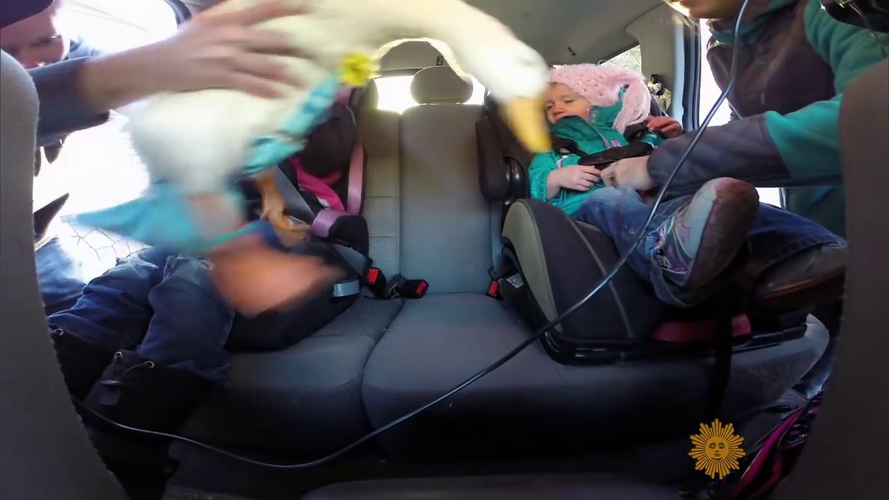 Cette fillette a pour animal de compagnie... un canard ! Qui la suit partout partout !