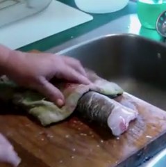 A headless fish still moves