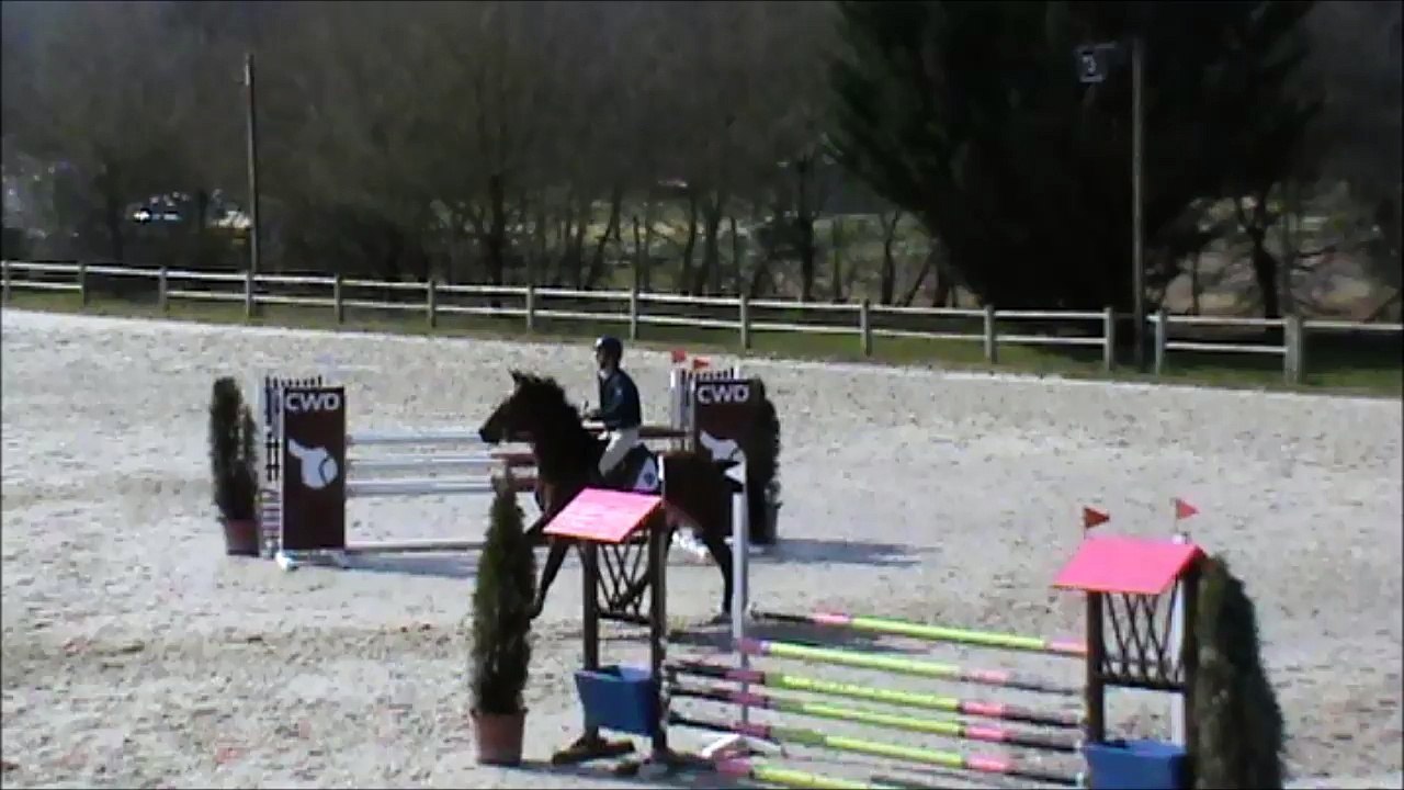 Feline CSO Sandillon 20160315