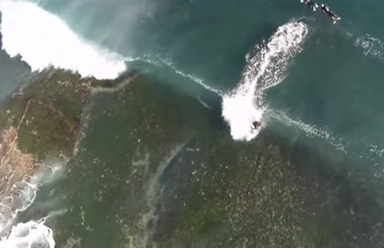 Drone Captures Playful Dolphins and Bodyboarders Riding Waves