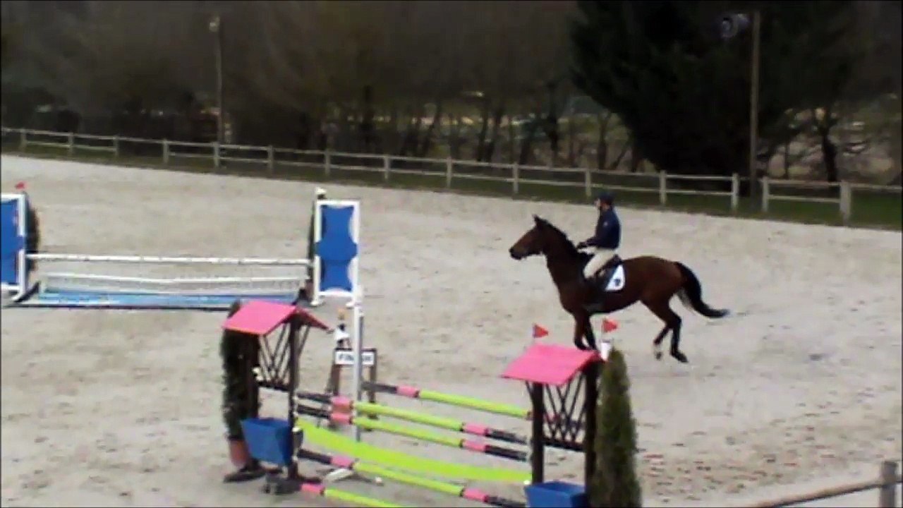 Feline CSO Sandillon 20160316