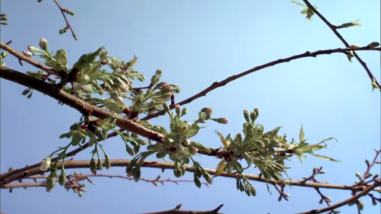 [D-Travel] Planet Earth- Amazing nature scenery