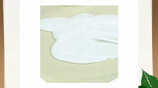Liquitex Professional - Imprimación para superficies (473 ml) color blanco