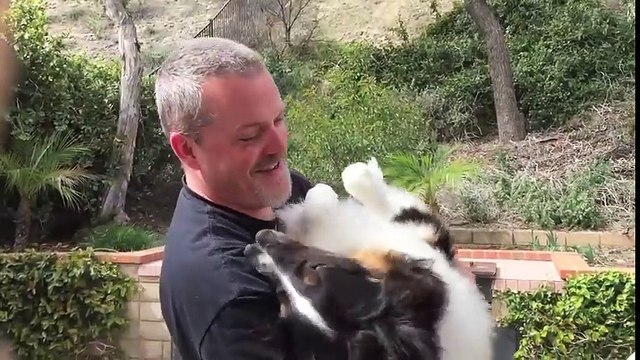 Il sauve la vie d'un chien à deux nez promis à l'euthanasie