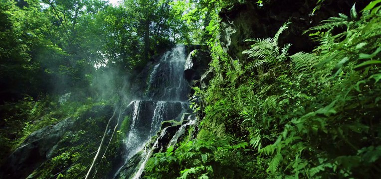 Grands Crus d'Alsace : le film