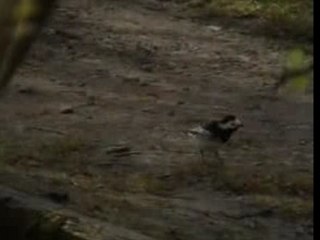 Design Project - re-edited