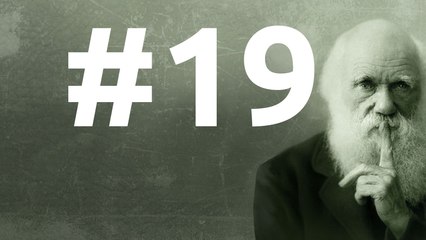 SLEDD#19 du 29 janvier 2011 Voir, rêver, se souvenir, anticiper, choisir