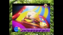 HD TOYOR Al Janna BABY HD - طيور الجنة