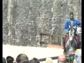 Les aigles de Provins