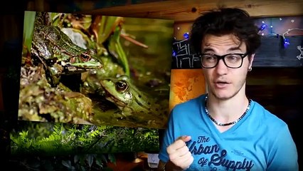 CHRIS - 7 Lieux Surprenants Sur Google Earth