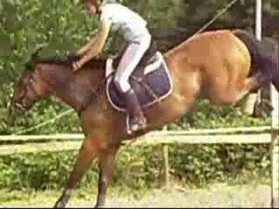 Moi et mimi AU SAUT :)