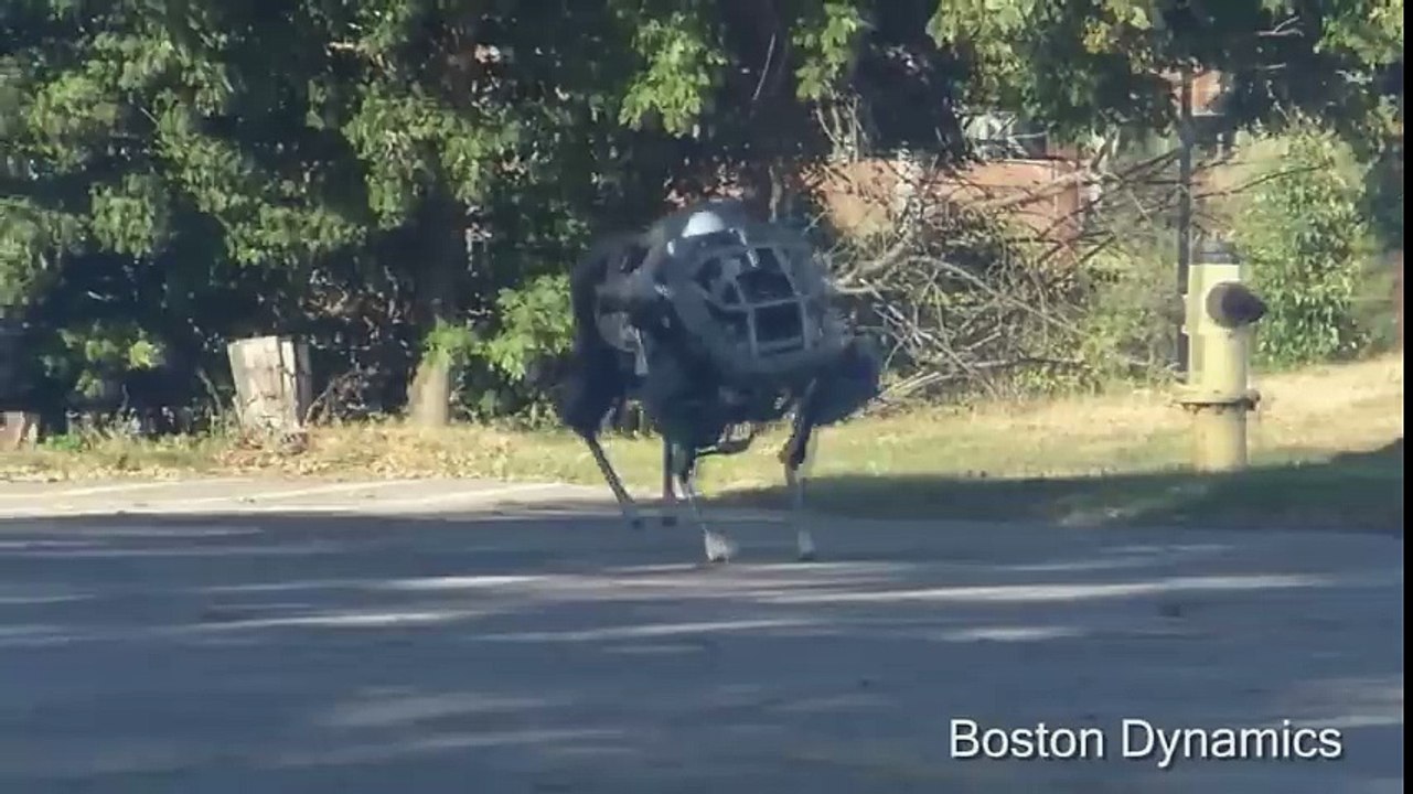 bkrtkhday vidoeod
