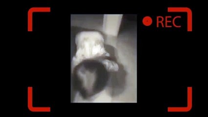 Rainbows And Kitty's Totally Not Scary.MP4 (World Music 720p)