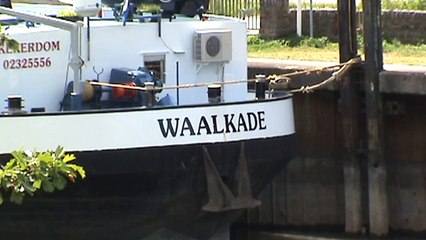 Züge und Schiffe bei Oberwesel am Rein, SBB Cargo Re421, Re428, 2x Re474, 185, 460, 428, 3x 427