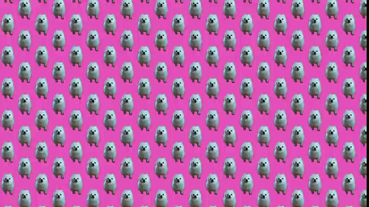 Dogstep
