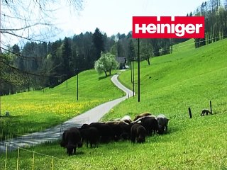 Tondeuse pour moutons - HEINIGER - AGRODIRECT