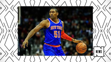 Metta World Peace Will Play in Panda Friendly Shoes This Season