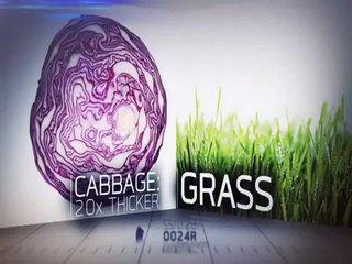 Rory McIlRoy Golf Challenge -