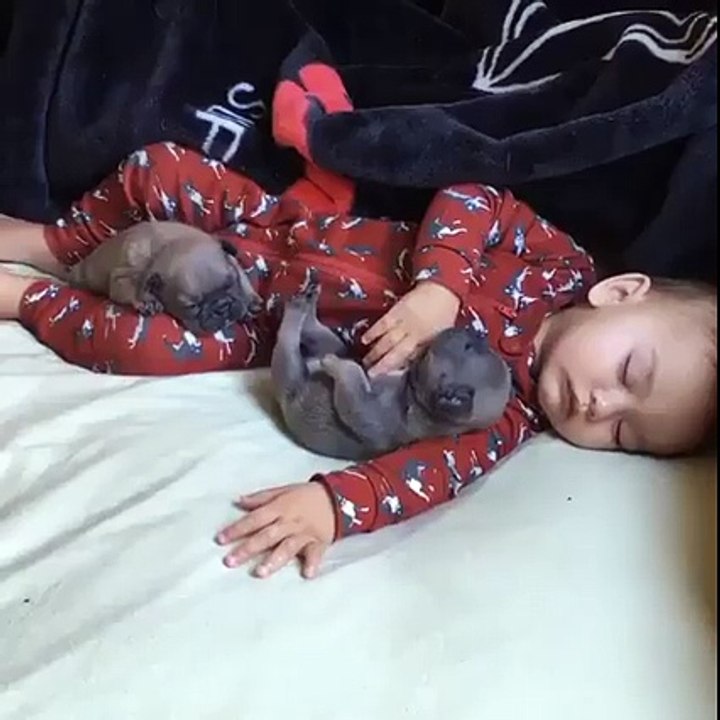 Même les roupillons du bébé ne dérangent pas les chiots. Appréciez cette belle complicité entre ces êtres !