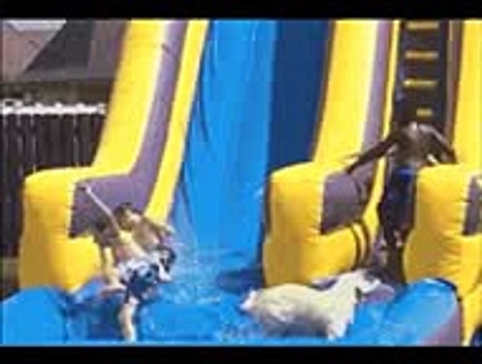 Funny videos - Funny new clips - Funniest recent animals - June 2015