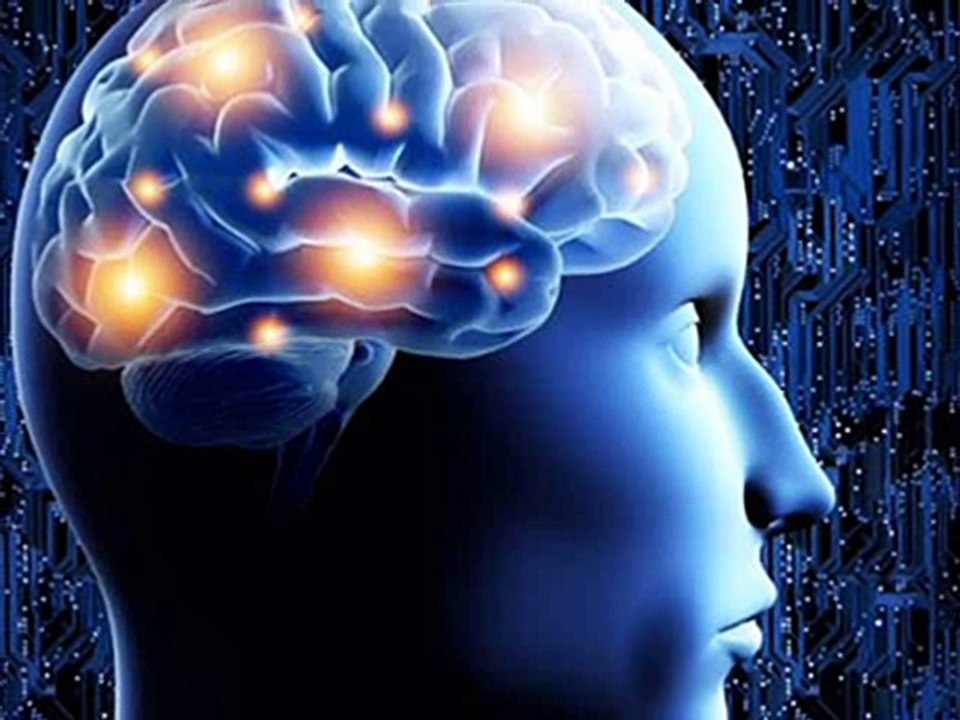 Brain Plus IQ Conclusion