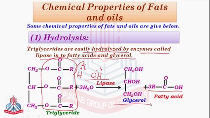 Chemical properties of Fats and Oil