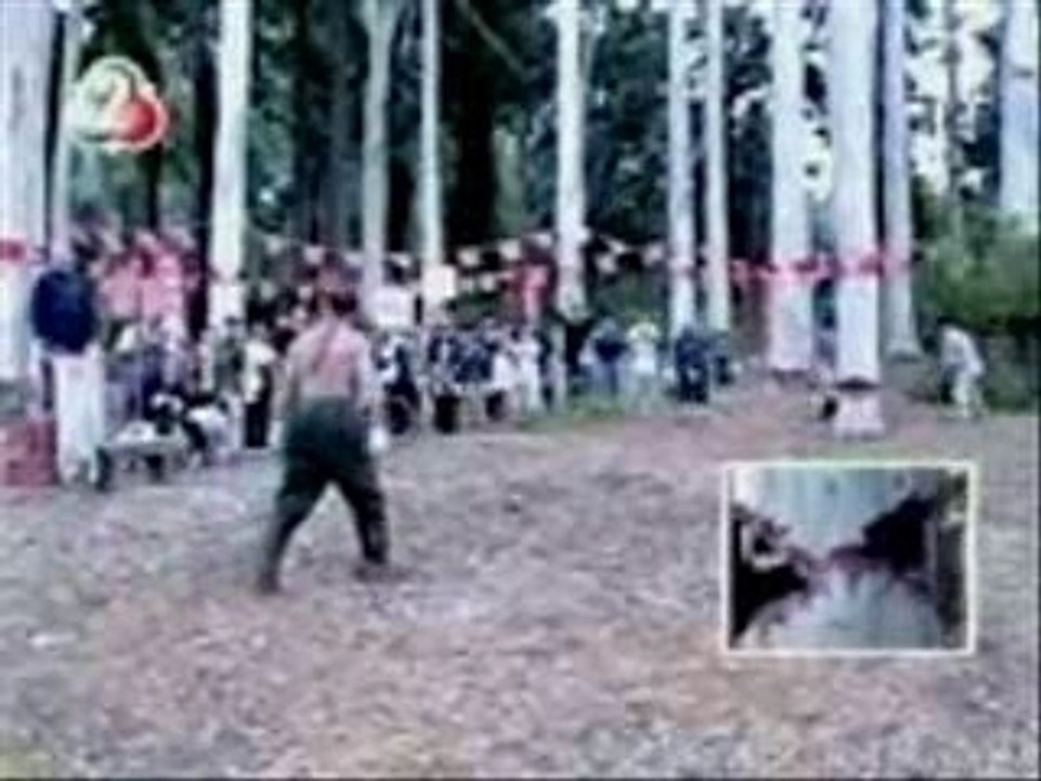 Gros debile qui essaye de retenir un arbre