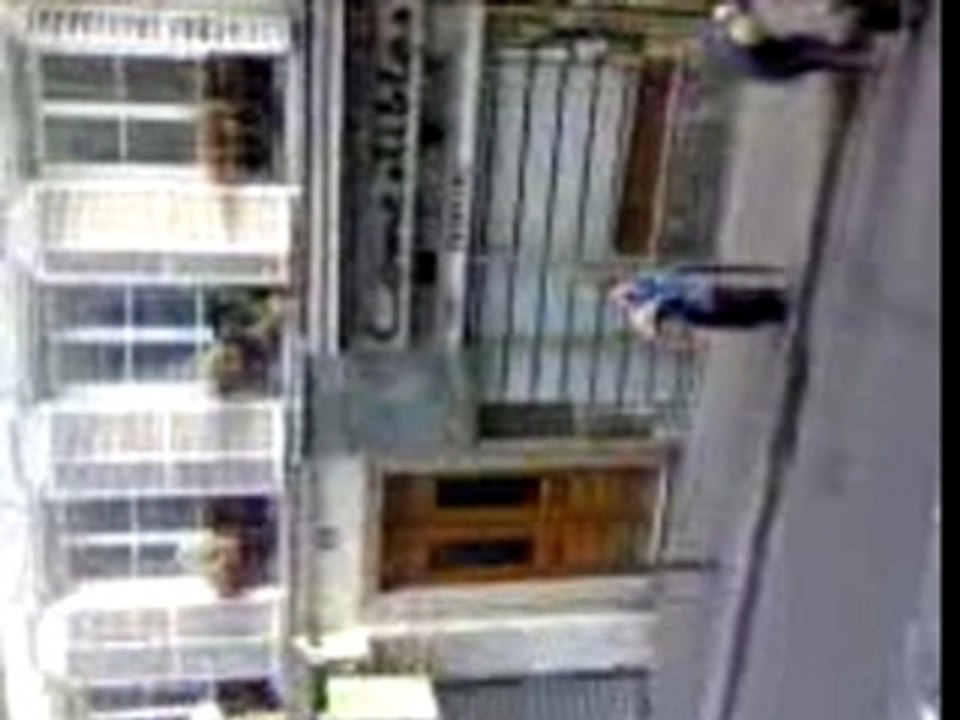 De la musique dehors.