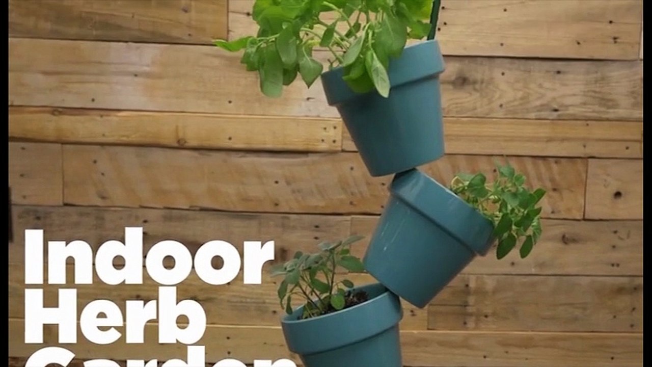 Un giardino di piante aromatiche in casa DIY
