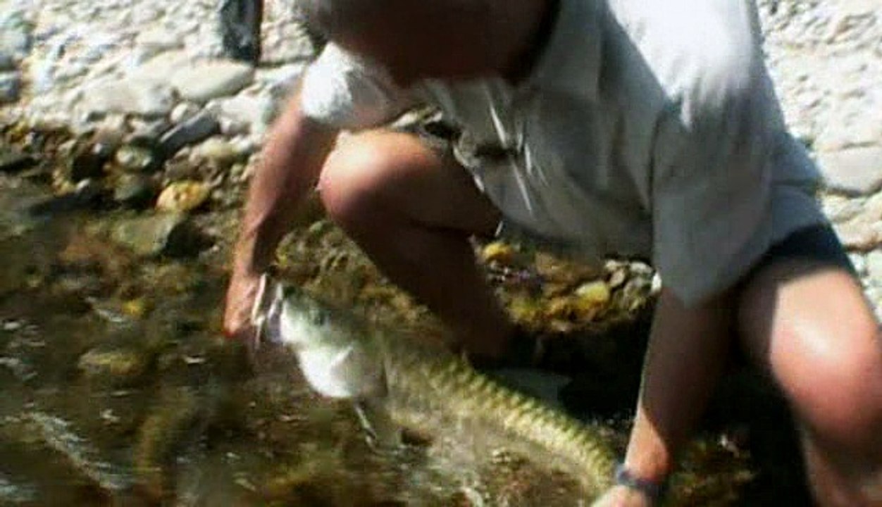 Jungle Hooks - E05 - India - The Last Pool