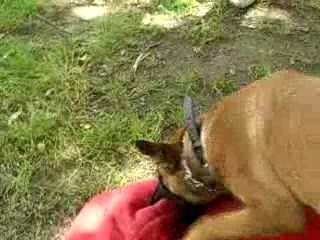 le debut d'un long parcours