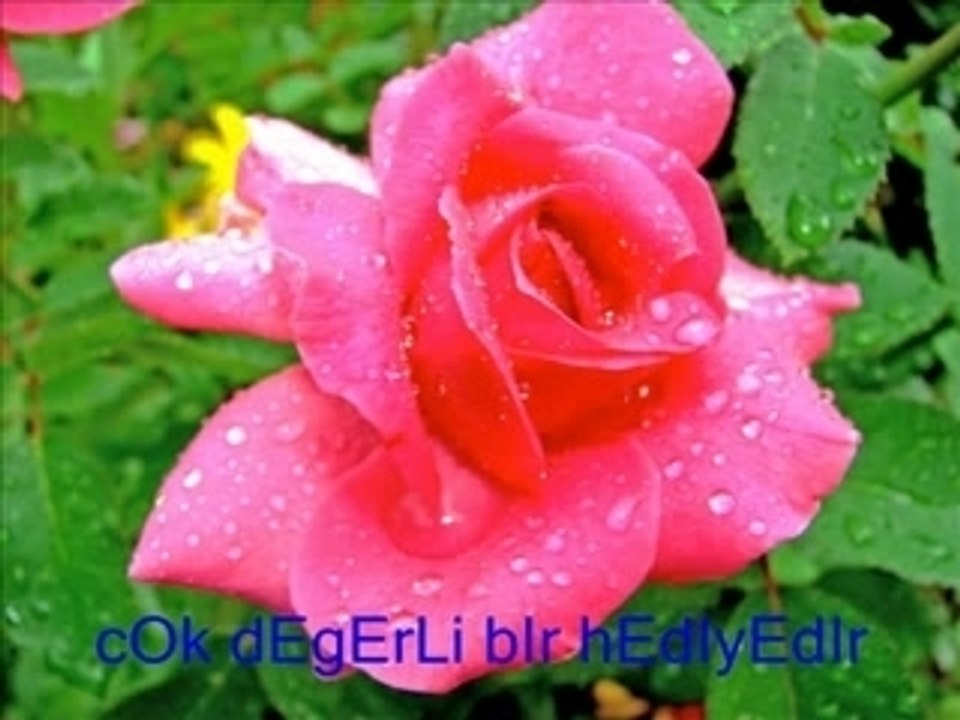 PhotoStory1