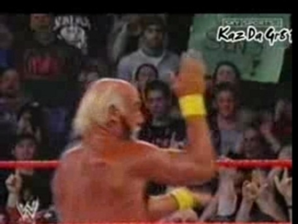 Steve Austin Stunners Ric Flair